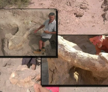 Un baiat de 9 ani a facut o descoperire epocala in timp ce se plimba pe o plaja din New Mexico Un baiat de 9 ani a facut o descoperire epocala in timp ce se plimba pe o plaja din New Mexico