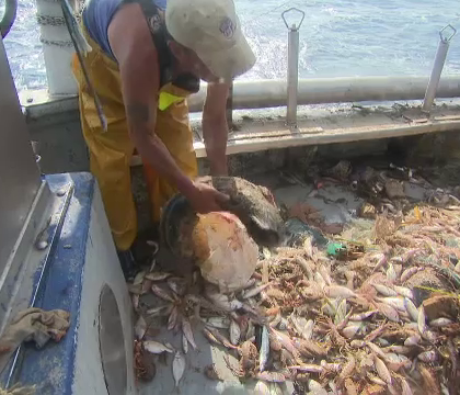 Spaniolii fac haine ecologice din deseuri reciclate din mare: "Castigam bani din pescuit si strans gunoaie din apa"