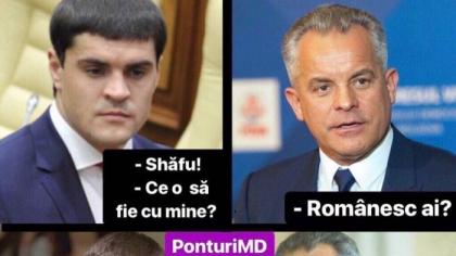 Au aparut primele meme-uri, dupa ce s-a aflat ca Tutu nu a castigat un loc in urmatorul Parlament: “Sefu, ce o sa fie cu mine? -Romanesc ai?”. Imaginile, distribuite pe retelele de socializare - GALERIE FOTO Au aparut primele meme-uri, dupa ce s-a aflat ca Tutu nu a castigat un loc in urmatorul Parlament: “Sefu, ce o sa fie cu mine? -Romanesc ai?”. Imaginile, distribuite pe retelele de socializare - GALERIE FOTO