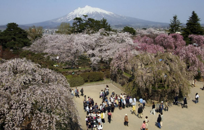 Ciresii infloriti, o afacere de 5 miliarde de euro pentru Japonia. Imagini spectaculoase - GALERIE FOTO Ciresii infloriti, o afacere de 5 miliarde de euro pentru Japonia. Imagini spectaculoase - GALERIE FOTO