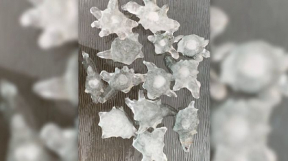 Fenomen straniu in timpul tornadei care a devastat Texasul. Explicatia specialistilor - FOTO