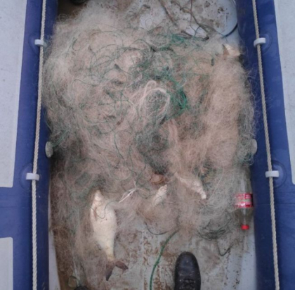 Doi barbati, prinsi cum pescuiau intr-o barca pe lacul de la frontiera Cuconestii Noi Doi barbati, prinsi cum pescuiau intr-o barca pe lacul de la frontiera Cuconestii Noi