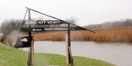 Cine si cat va plati pentru vanatoarea din Padurea Domneasca. Decizia motivata a Curtii de Apel Balti - ZdG.md Cine si cat va plati pentru vanatoarea din Padurea Domneasca. Decizia motivata a Curtii de Apel Balti - ZdG.md
