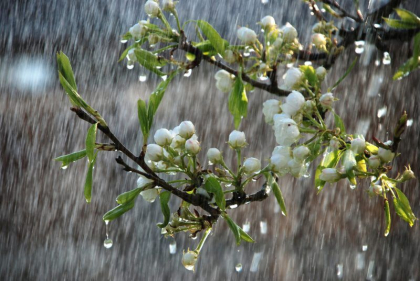 Se asteapta ploi in capitala, dar si in toate regiunile tarii. Ce vreme va fi in urmatoarele zile. Prognoza meteo - FOTO