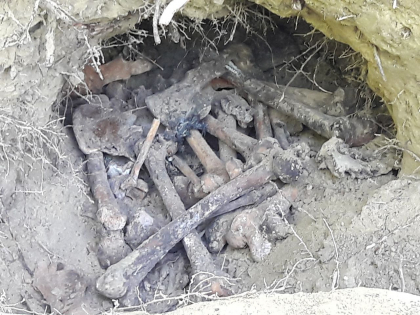 Oseminte care ar fi de om, gasite in parcul Valea Morilor din capitala - FOTO Oseminte care ar fi de om, gasite in parcul Valea Morilor din capitala - FOTO