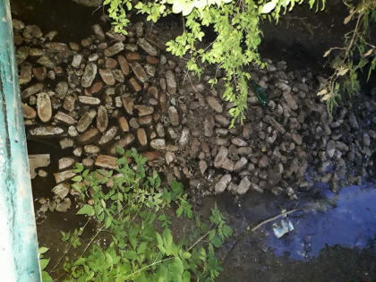 Imagini revoltatoare, surprinse in satul Ghidighici. Zeci de paini, aruncate intr-un rau - GALERIE FOTO