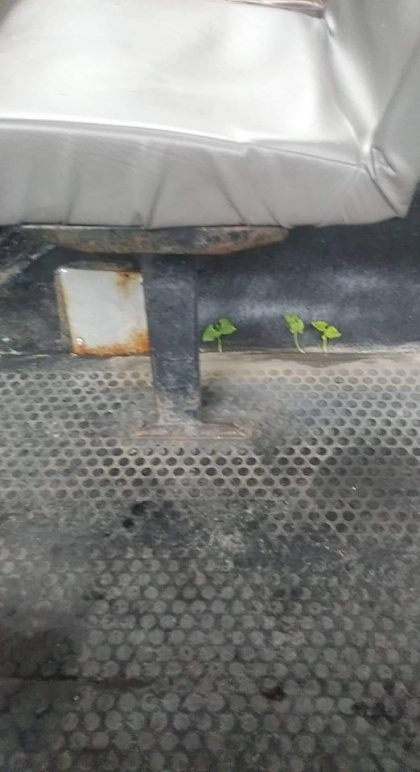 A ramas surprinsa de ceea ce a vazut intr-un autobuz vechi din capitala, a fotografiat totul si a publicat imaginea pe retelele de socializare - FOTO A ramas surprinsa de ceea ce a vazut intr-un autobuz vechi din capitala, a fotografiat totul si a publicat imaginea pe retelele de socializare - FOTO
