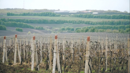 Sute de mii de hectare de teren argricol, vandute strainilor. Asta chiar daca legea interzice vanzarea terenurilor agricole cetatenilor straini sau companiilor cu capital strain: „Nu-mi doresc copiii mei sa fie argati in tara lor la straini” - rise.md/VIDEO Sute de mii de hectare de teren argricol, vandute strainilor. Asta chiar daca legea interzice vanzarea terenurilor agricole cetatenilor straini sau companiilor cu capital strain: „Nu-mi doresc copiii mei sa fie argati in tara lor la straini” - rise.md/VIDEO