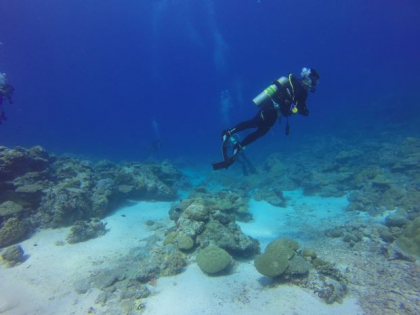 Descoperire surprinzatoare in Groapa Marianelor. Ce ascunde cel mai adanc loc de pe planeta - VIDEO Descoperire surprinzatoare in Groapa Marianelor. Ce ascunde cel mai adanc loc de pe planeta - VIDEO