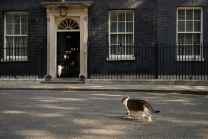 Motanul Larry a provocat haos in timpul vizitei lui Trump la Londra. Unde s-a ascuns - GALERIE FOTO Motanul Larry a provocat haos in timpul vizitei lui Trump la Londra. Unde s-a ascuns - GALERIE FOTO