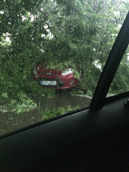 Un pom s-a prabusit peste un automobil. Acesta a fost parcat la umbra, insa din cauza rafalelor de vant a fost doborat peste vehicul - FOTO
