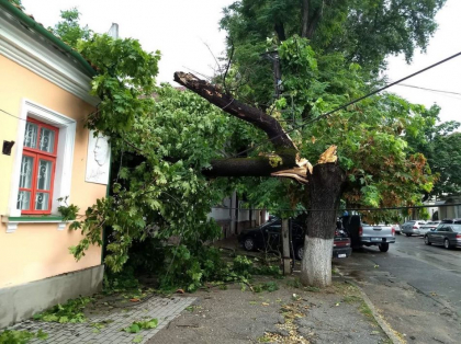 Arbori doborati la pamant si peste masini, inundatii pe strazi si in subsoluri, toate dupa ploaia si rafalele de vant de ieri. Serviciile municipale intervin pentru a lichida consecintele dezastrului - FOTO Arbori doborati la pamant si peste masini, inundatii pe strazi si in subsoluri, toate dupa ploaia si rafalele de vant de ieri. Serviciile municipale intervin pentru a lichida consecintele dezastrului - FOTO