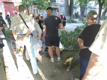 Un copac s-a prabusit direct peste un om. S-a intamplat astazi pe strada Nicolae Dimo. Barbatul a fost transportat de urgenta la spital, iar politia se afla la fata locului - FOTO