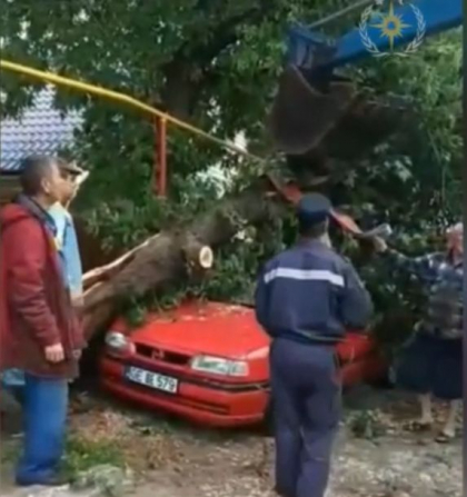 Furtuna si vantul puternic a distrus mai multe acoperisuri ale caselor de locuit, din raioanele Cahul, Causeni, Stefan Voda si Gagauzia. Salvatorii au deblocat masini, dar si o conducta de gaz sub copacii cazuti - VIDEO
