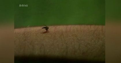 Prima infectie cu West Nile, la Galati. Simptomele care l-au alarmat pe bolnav Prima infectie cu West Nile, la Galati. Simptomele care l-au alarmat pe bolnav