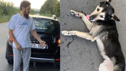 A fost lansata o petitie prin care se cere ca preotul Valuta sa fie pedepsit, dupa ce a legat un caine cu un lant si l-a tarat cu masina A fost lansata o petitie prin care se cere ca preotul Valuta sa fie pedepsit, dupa ce a legat un caine cu un lant si l-a tarat cu masina
