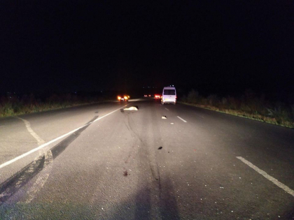 Un pieton a murit dupa ce a fost lovit in plin de un Mercedes, la Cojusna. Ce spune politia Un pieton a murit dupa ce a fost lovit in plin de un Mercedes, la Cojusna. Ce spune politia