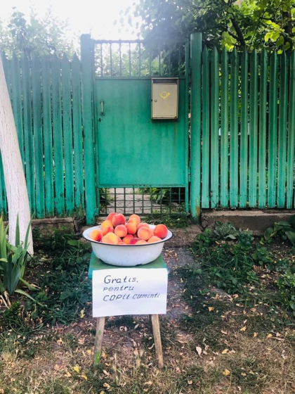 Au scos un lighean plin cu piersici la poarta si au lasat inscriptia „Gratis pentru copii cuminti”. Gestul frumos a unor oameni din Porumbeni: „Azi, in localitatea mea am vazut ceva inedit pentru zona, unde tot are un pret si nimeni nu e dispus sa-ti ofere ceva pe gratis”- FOTO