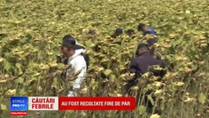 Surse: Ramasite umane gasite intr-o padure langa Caracal. Dinca spune ca sunt ale Luizei Surse: Ramasite umane gasite intr-o padure langa Caracal. Dinca spune ca sunt ale Luizei