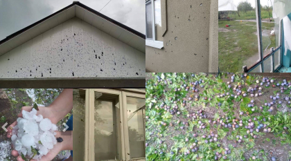 Geamuri sparte, acoperisuri distruse, culturile oamenilor au fost puse la pamant, iar la unii a fost afectata chiar si tencuiala casei. Ploia cu grindina de 15 minute de la Glodeni a distrus totul in cale - GALERIE FOTO Geamuri sparte, acoperisuri distruse, culturile oamenilor au fost puse la pamant, iar la unii a fost afectata chiar si tencuiala casei. Ploia cu grindina de 15 minute de la Glodeni a distrus totul in cale - GALERIE FOTO