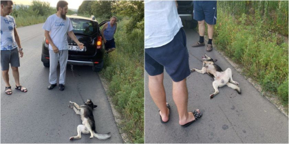Preotul Valuta, care a legat un caine de automobil - iertat. Procurorii au refuzat pornirea urmarii penale pe acest caz: „Acum sa revenim la slujire cu constiinta curata...” - FOTO Preotul Valuta, care a legat un caine de automobil - iertat. Procurorii au refuzat pornirea urmarii penale pe acest caz: „Acum sa revenim la slujire cu constiinta curata...” - FOTO