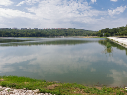 Un tanar s-a inecat in lacul Valea Morilor. Ce spune politia