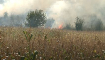 Un incendiu a izbucnit la Braviceni. Mai multe hectare de vegetatie uscata au fost cuprinse de flacari - VIDEO Un incendiu a izbucnit la Braviceni. Mai multe hectare de vegetatie uscata au fost cuprinse de flacari - VIDEO