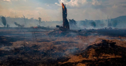 ”Parca e sfarsitul lumii”. Biodiversitatea din Amazonia, distrusa definitiv de incendii