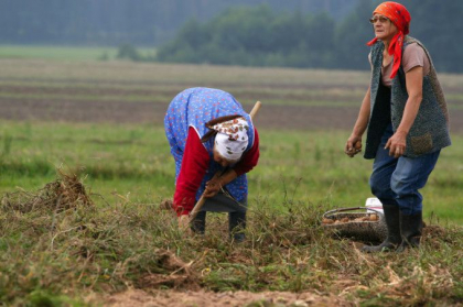 “Satul blestemat”. Locul in care de 10 ani nu s-a mai nascut niciun baiat