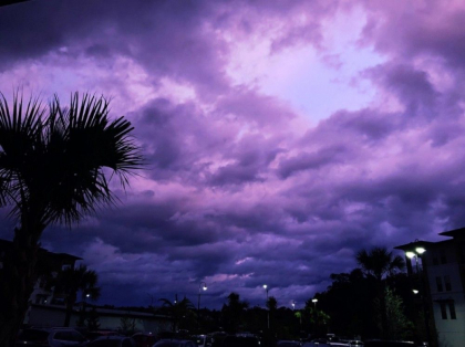 Fenomen bizar in Florida dupa trecerea uraganului Dorian. Care e explicatia - GALERIE FOTO/VIDEO Fenomen bizar in Florida dupa trecerea uraganului Dorian. Care e explicatia - GALERIE FOTO/VIDEO