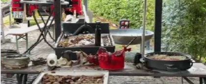 Un mort si 13 raniti dupa explozia unei tigai la un targ culinar din Germania Un mort si 13 raniti dupa explozia unei tigai la un targ culinar din Germania