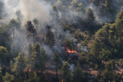 Pompierii se lupta sa stinga un puternic incendiu de padure izbucnit langa Atena
