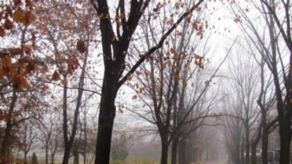 Toamna isi intra in drepturi. Se asteapta ploi in nordul tarii, iar in capitala vom avea maxime de 24 de grade. Cum va fi vremea in toata tara. Prognoza meteo - FOTO