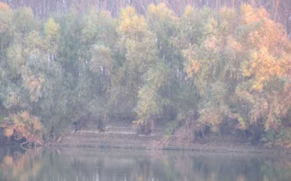 Vin ingheturile. Un nou cod galben, emis de meteorologi - FOTO