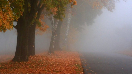 Vin ingheturile, incepand de maine. Cum va fi vremea astazi, in capitala, dar si pe intreg teritoriul tarii. Prognoza meteo - FOTO