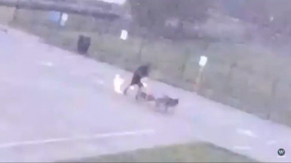 Momentul in care un barbat a fost lovit de fulger. I-au sarit pantofii din picioare - VIDEO Momentul in care un barbat a fost lovit de fulger. I-au sarit pantofii din picioare - VIDEO