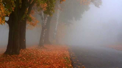 Codul galben de ingheturi ramane in vigoare. Ce temperaturi vom avea astazi in capitala, dar si in celelalte regiuni ale tarii. Prognoza meteo- FOTO