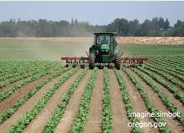 Perchezitii la doua intreprinderi din Briceni care au prelucrat peste 500 hectare de pamant, impotriva vointei celor peste 200 de proprietari. Terenurile agricole, puse sub sechestru de catre PCCOCS Perchezitii la doua intreprinderi din Briceni care au prelucrat peste 500 hectare de pamant, impotriva vointei celor peste 200 de proprietari. Terenurile agricole, puse sub sechestru de catre PCCOCS