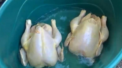 Vanzatorii prinsi la Galati in timp ce comercializau gaini vopsite sunt moldoveni. Doi au fost amendati, iar al treilea a fugit la vederea politistilor, abandonand aproape 10 kilograme de carne de pasare pe jos - VIDEO Vanzatorii prinsi la Galati in timp ce comercializau gaini vopsite sunt moldoveni. Doi au fost amendati, iar al treilea a fugit la vederea politistilor, abandonand aproape 10 kilograme de carne de pasare pe jos - VIDEO