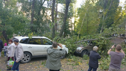 Un copac imens s-a prabusit peste doua masini parcate pe o strada din capitala. Vehiculele au fost distruse, iar martorii spun ca o femeie care se afla in preajma a avut de suferit - GALERIE FOTO