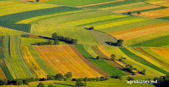 ANI: Un consilier local din suburbia Chisinaului a uitat sa indice "din neatentie” in declaratia sa de avere casa de locuit si 88 de terenuri agricole - Bizlaw.md ANI: Un consilier local din suburbia Chisinaului a uitat sa indice "din neatentie” in declaratia sa de avere casa de locuit si 88 de terenuri agricole - Bizlaw.md