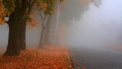 Codul galben de ceata ramane in vigoare. Ce temperaturi vom avea astazi in capitala, dar si in celelalte regiuni ale tarii. Prognoza meteo - FOTO