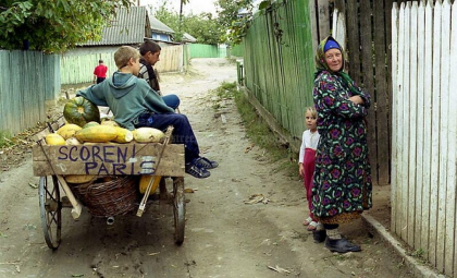 Subventii de 135 milioane lei pentru dezvoltarea rurala - mold-street.com