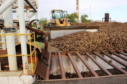 Criza pe piata zaharului: Cel mai mare producator suspenda activitatea fabricii de zahar din Falesti - mold-street.com