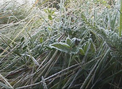 Un val de aer polar va lovi Republica Moldova. Temperaturile scad rapid in urmatoarele zile. Cat de frig va fi - FOTO