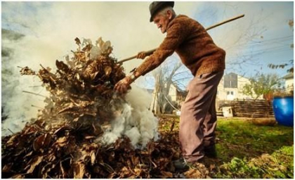 Ce amenzi risca cei care ard frunzele Ce amenzi risca cei care ard frunzele