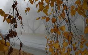 Vremea se raceste. Noaptea, temperaturile vor ajunge pana la - 2 grade in capitala. Ce temperaturi se asteapta in celelalte regiuni ale tarii. Prognoza meteo - FOTO Vremea se raceste. Noaptea, temperaturile vor ajunge pana la - 2 grade in capitala. Ce temperaturi se asteapta in celelalte regiuni ale tarii. Prognoza meteo - FOTO