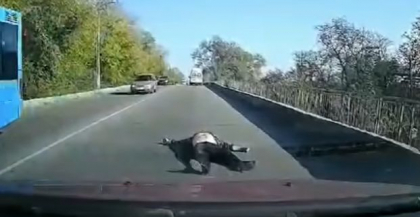 Momentul in care o ambulanta pierde, din mers, un pacient - VIDEO Momentul in care o ambulanta pierde, din mers, un pacient - VIDEO