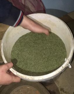 Marihuana in valoare de 500 de mii lei, ridicata de ofiterii Antidrog. Doi barbati din Telenesti risca 15 ani de puscarie - FOTO/VIDEO