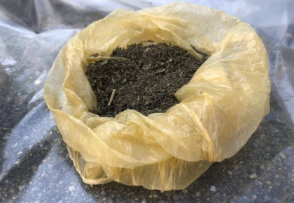 Plante de canepa in valoare de 15 mii de lei, gasite la un barbat din Straseni. Suspectul risca 4 ani de puscarie - FOTO/VIDEO Plante de canepa in valoare de 15 mii de lei, gasite la un barbat din Straseni. Suspectul risca 4 ani de puscarie - FOTO/VIDEO